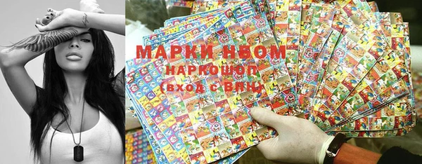 прущие грибы Богданович