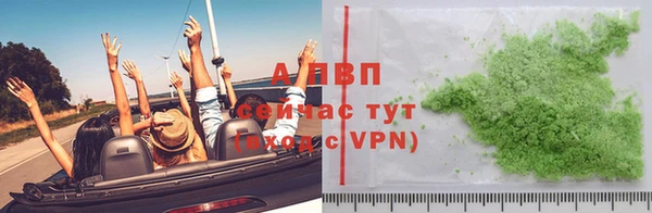 прущие грибы Богданович