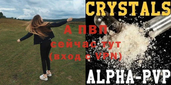 тгк Белокуриха
