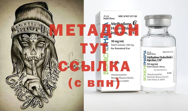 прущие грибы Богданович